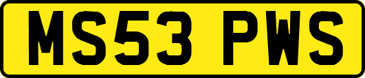 MS53PWS