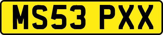 MS53PXX