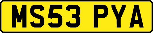 MS53PYA