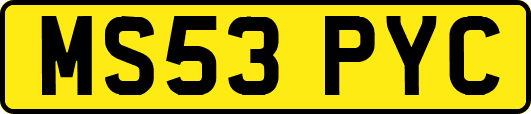MS53PYC