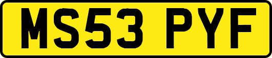 MS53PYF