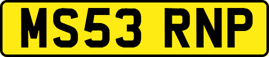 MS53RNP