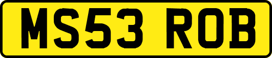 MS53ROB