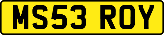 MS53ROY
