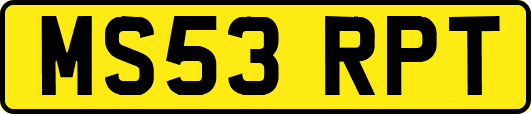 MS53RPT