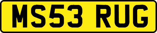 MS53RUG