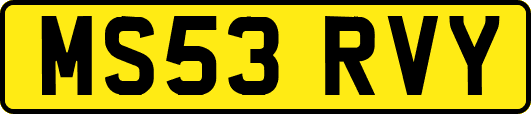 MS53RVY