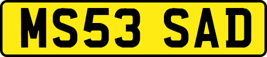 MS53SAD