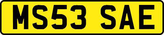 MS53SAE
