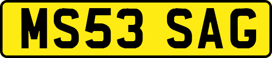MS53SAG