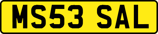 MS53SAL