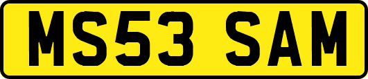 MS53SAM