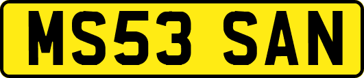 MS53SAN