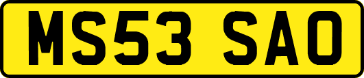 MS53SAO