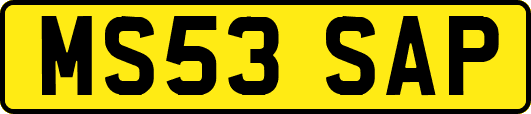 MS53SAP