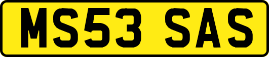 MS53SAS
