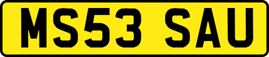 MS53SAU