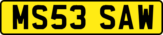 MS53SAW