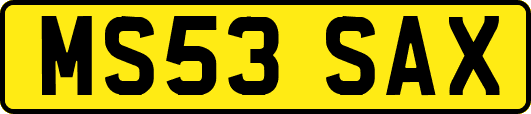 MS53SAX