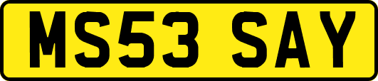 MS53SAY