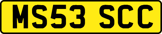 MS53SCC