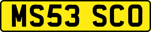 MS53SCO