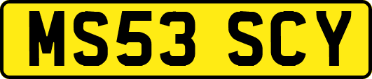 MS53SCY