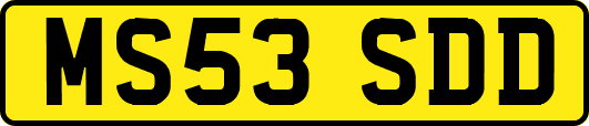 MS53SDD