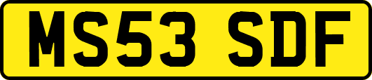 MS53SDF