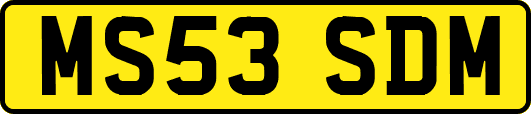 MS53SDM