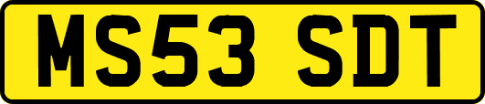 MS53SDT