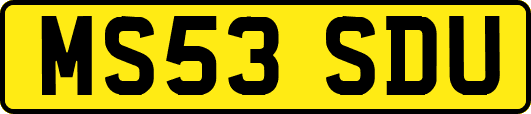 MS53SDU