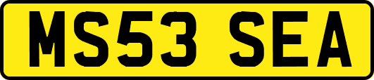 MS53SEA