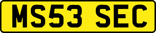 MS53SEC