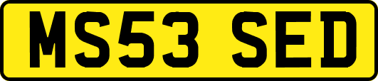 MS53SED