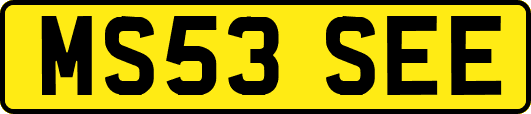 MS53SEE