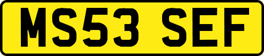 MS53SEF