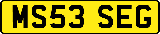 MS53SEG
