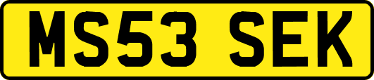 MS53SEK