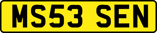 MS53SEN