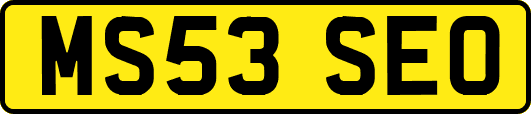 MS53SEO