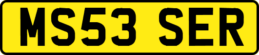 MS53SER