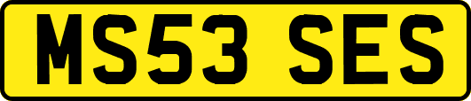 MS53SES