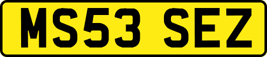MS53SEZ