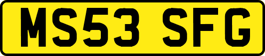 MS53SFG