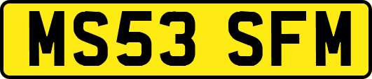 MS53SFM