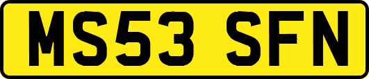 MS53SFN