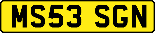 MS53SGN