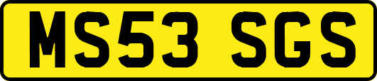 MS53SGS