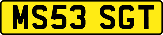 MS53SGT
